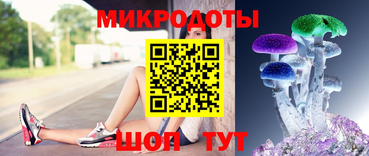 Партизанск  Псилоцибиновые грибы Psilocybine cubensis  Вход с VPN  Галлюциногенные грибы мухоморы 